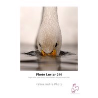 Hahnemühle Photo Luster 290 g/m² - 24" x 30 metrów